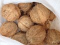 Semi-husked Coconut – Fresh, Ready-to-Use